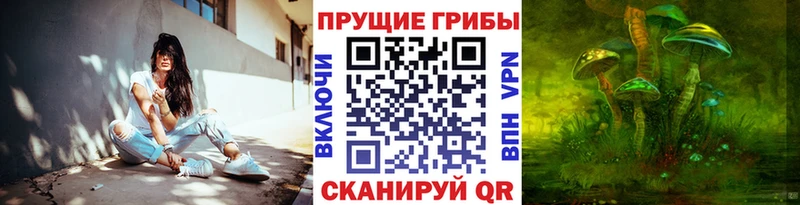 Псилоцибиновые грибы GOLDEN TEACHER  Купить где  Удомля 